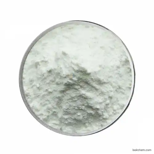 High purity good quality 2-Ethylphenylhydrazine hydrochloride cas no 19398-06-2