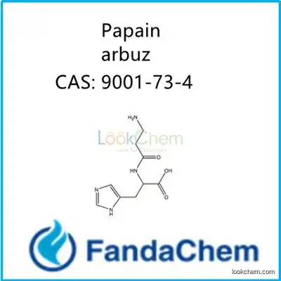 Papain (arbuz;caroid;nematolyt;Carica papaya;tromasin;Vermizym;PapainFreezeDried), cas: 9001-73-4 fandachem