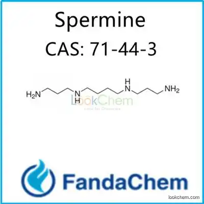 Spermine (Gerontine;Musculamine;Neuridine) CAS: 71-44-3 from FandaChem