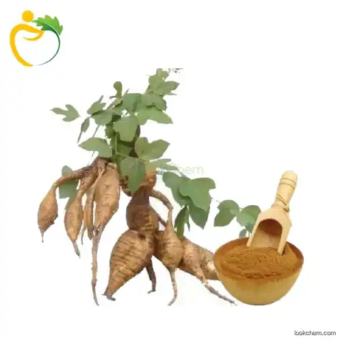 Hot selling Pueraria mirifica Extract Powder 15% Puerarin by HPLC(3681-99-0)
