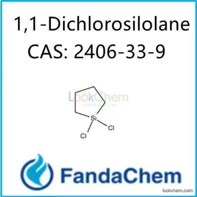 1,1-Dichlorosilolane;1,1-Dichloro-1-silacyclopentane;Cyclotetramethylenedichlorosilane CAS: 2406-33-9 from FandaChem