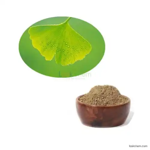 Greenyo-100% pure natural Ginkgo biloba Leaf extract 24% flavone Gingko Biloba L. CAS NO.90045-36-6