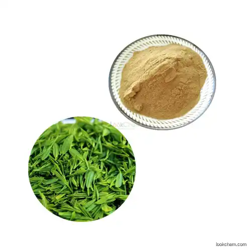 Green Tea Extract()