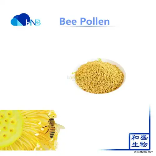 factory provide Bee pollen powder best price