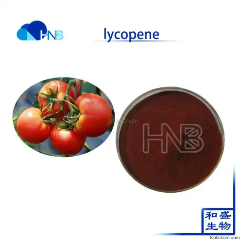 HNB Factory Supply  high quality Lycopene capsules CAS No.:502-65-8