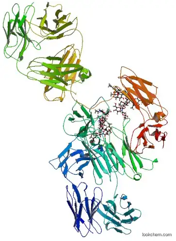 Trastuzumab (anti-HER2)(180288-69-1)