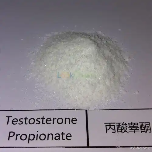 Hupharma Testosterone Propionate injectable steroids Powder(57-85-2)
