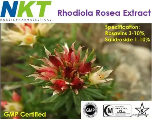Rhodiola rosea Extract(84954-92-7)