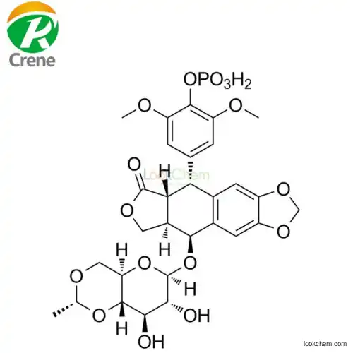Etoposide phosphate 117091-64-2