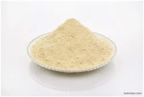 Lion's Mane Extract Powder
