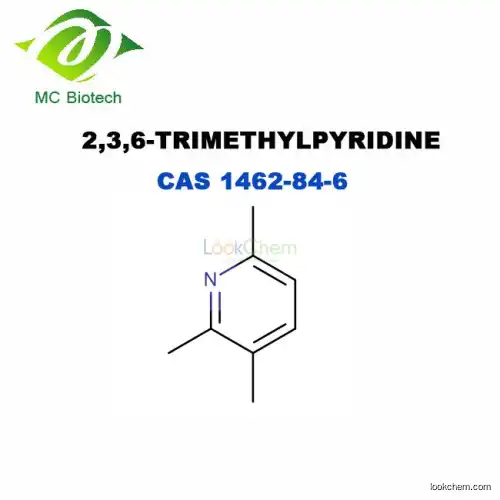 Higher Purity 2,3,6-Trimethylpyridine CAS# 1462-84-6(1462-84-6)