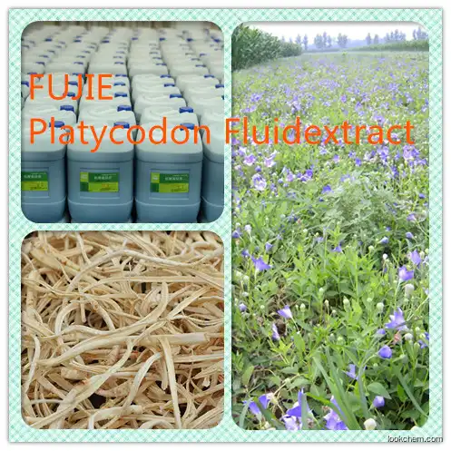 Platycodon Fluidextract GMP  factory