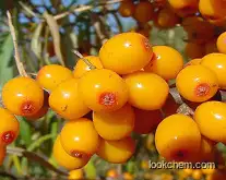 wide plant extract seabuckthorn seed oil