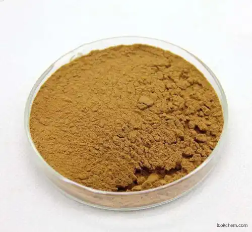 Food Sweetener Organic Monk Fruit Luo Han Guo Extract 20% ~50% Mogroside V