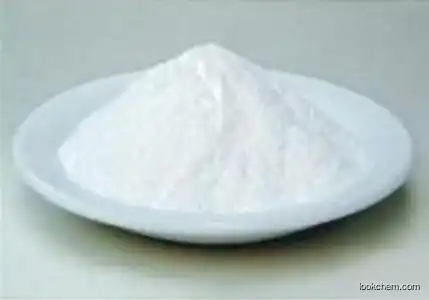 Sodium Starch Glycolate (SSG)