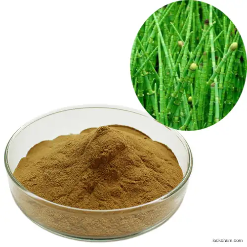 organic Horsetail Extract silicon