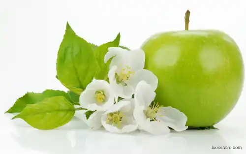 Apple Extract Powder Natural Health Manufacture