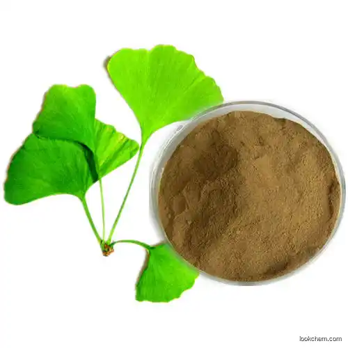 Ginkgo Biloba Extract 100% Herbal Ginkgo Flavone Pharmaceutical(117-39-5)