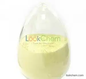 Factory supply  Chitosan  with lower price and fast shipment