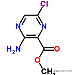 Methyl 3-amino-6-chloropyrazine-2-carboxylate            1458-03-3