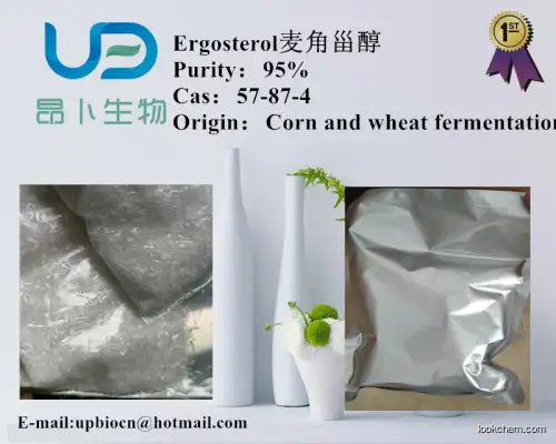 in bulk supply 57-87-4 57-87-4 for sale Ergosterol  best quality