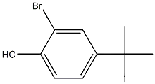 2-Bromo-4-tert-butylphenolCAS NO.: 2198-66-5