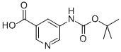 5-TERT-BUTOXYCARBONYLAMINO-PYRIDINE-3-CARBOXYLIC ACIDCAS NO.: 337904-92-4