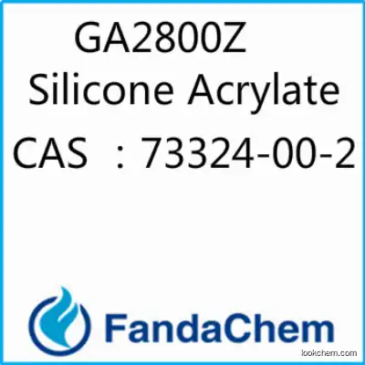 GA2800Z ; Silicone Acrylate  CAS: 73324-00-2 from Fandachem