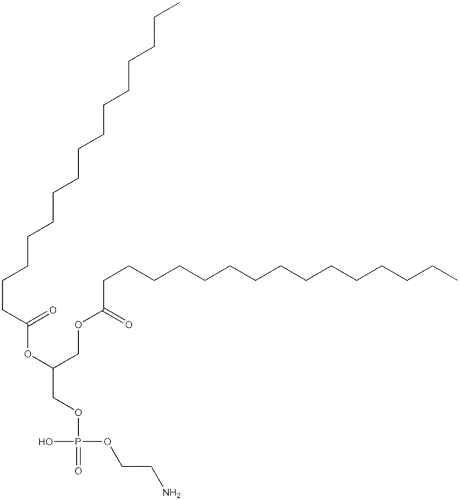 1,2-Dipalmitoyl-sn-glycero-3-phosphoethanolamine(DPPE)