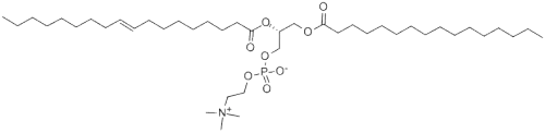 1-PALMITOYL-2-OLEOYL-SN-GLYCERO-3-PHOSPHOCHOLINECAS NO.: 26853-31-6