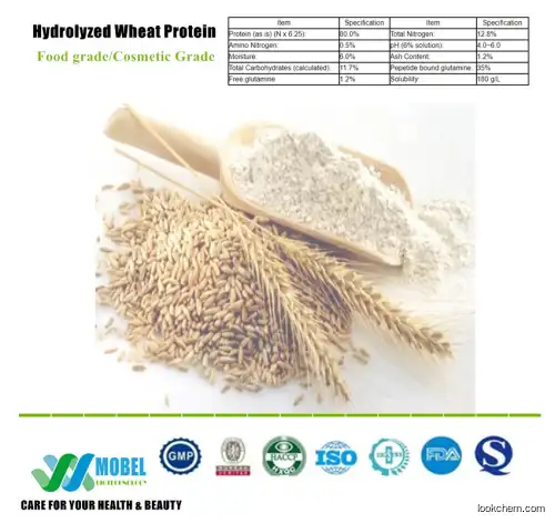 Hydrolyzed Wheat Protein(70084-87-6)