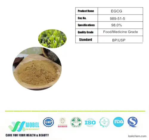 Green Tea Extract 98% Palmitate Bluebonnet Leaf Supplement Epigallocatechin Egcg