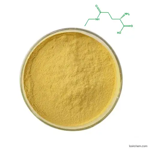 Food additives Tea Extract L-Theanine  Powder(3081-61-6)