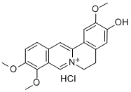 JATRORRHIZINE HCL(RG)CAS NO.: 6681-15-8