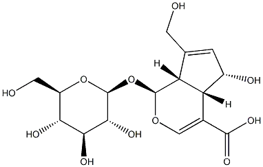 (1S,4aS,5S,7aS)-1-(b-D-Glucopyranosyloxy)-1,4a,5,7a-tetrahydro-5-hydroxy-7-(hydroxymethyl)cyclopenta[c]pyran-4-carboxylic acidCAS NO.: 14259-55-3