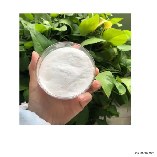 High Quality Manufacturer Supply Denatonium Benzoate Anhydrous Best Price(3734-33-6)