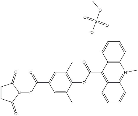 6'-Dimethyl-4'-(N-succinimidyloxycarbonyl)phenyl-10-methyl-acridinium-9-carboxylate methosulfate (DMAE-NHS)    115853-74-2