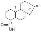 kaurenoic acidCAS NO.: 6730-83-2