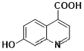 7-hydroxyquinoline-4-carboxylic acid