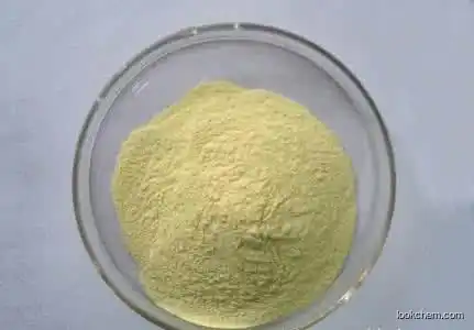 2,4-Dichloro-1,8-naphthyridine china manufacture