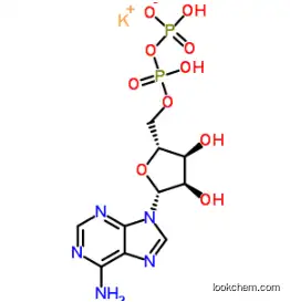 High Quality Adenosine 5'-diphosphate Monopotassium Salt