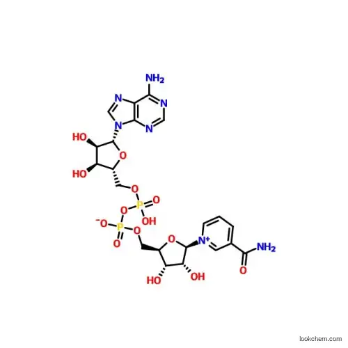 beta-Nicotinamide adenine dinucleotide CAS No. 53-84-9