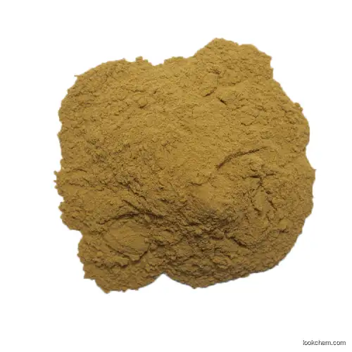 EP Standard Ginkgo Biloba Extract Powder(90045-36-6)