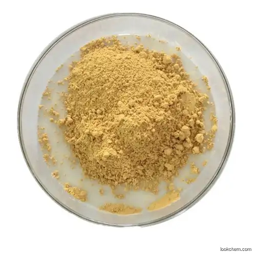 Milk Thistle Extract 80% Silymarin/Milk Thistle Powder(84604-20-6)