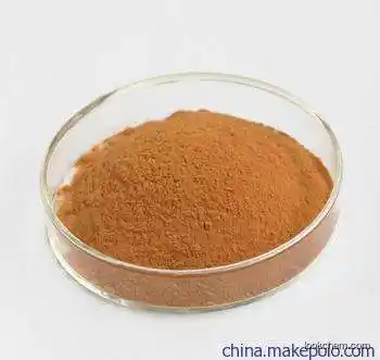 Cornus Extract 25% saponin  natural plant extract functional friut food beverage
