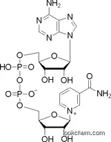β-Nicotinamide adenine dinucleotide