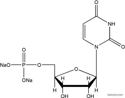 3387-36-8 Uridine 5’-monophosphate disodium salt manufacturer