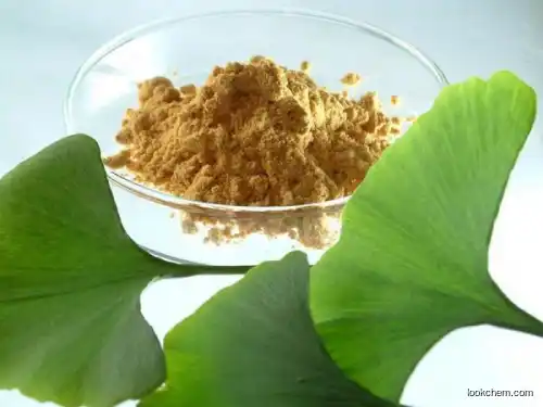 Ginkgo Biloba extract plant extract 30%  flavone nutrition functional  food beverage high quality