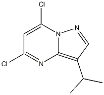 5,7-dichloro-3-isopropylpyrazolo[1,5-a]pyrimidineCAS NO.: 771510-32-8