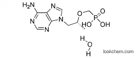 Best Quality 9-[(R)-2-(Phosphonomethoxy)Propyl]adenine